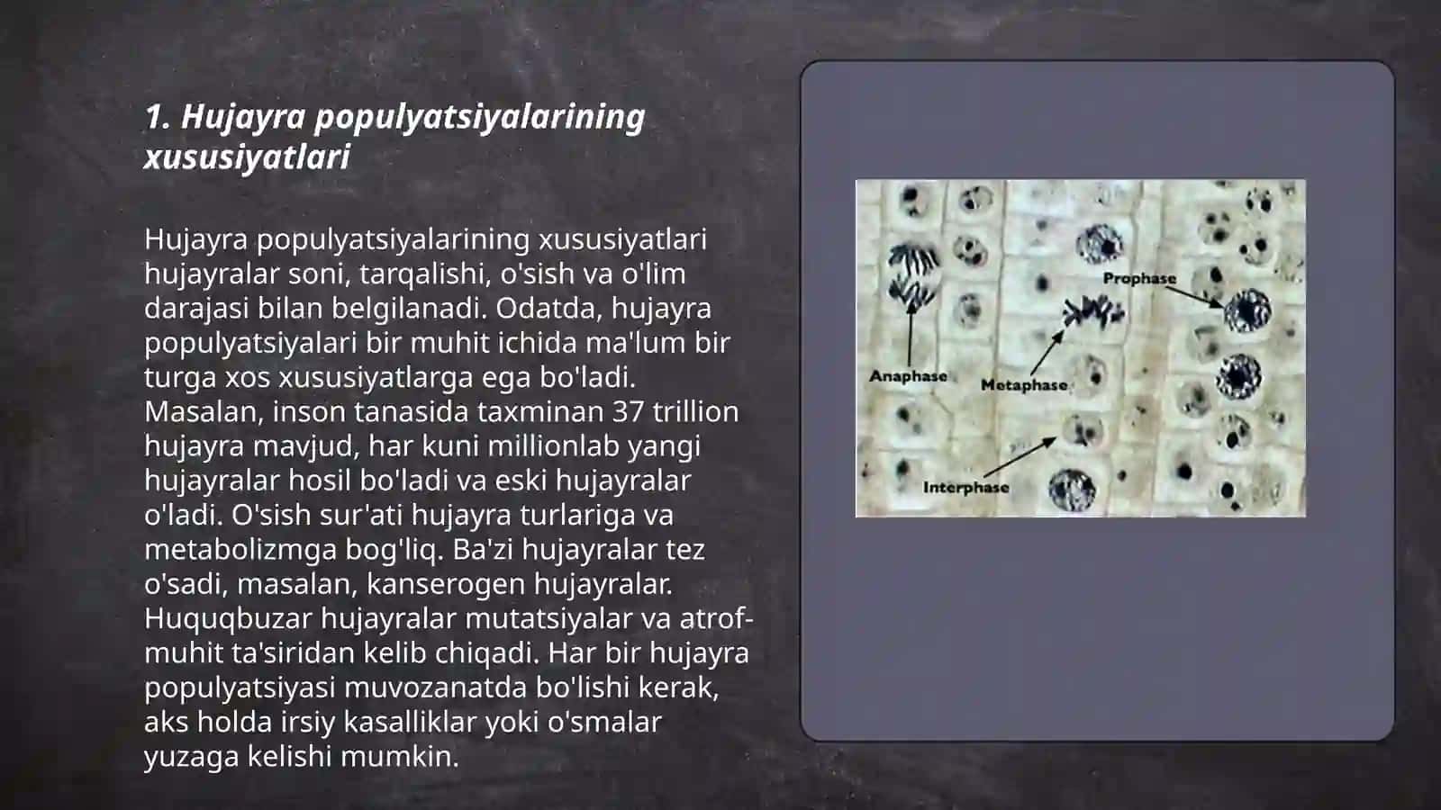 Hujayra populyatsiyalarining turlari statik oʻsuvchi yangilanuvchi Apoptoz dasturlashtirilgan hujayra oʻlimi va mitozning aksi 3