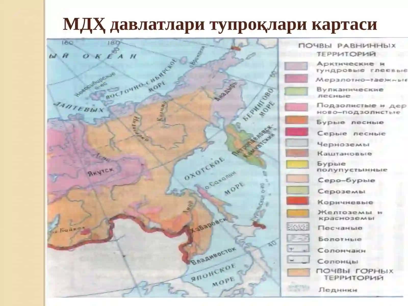 MDX tuproqlari. Tayga-urmon zonasi va o‘omon –dasht zonasining qora tuproqlari 3