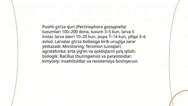 Pushti g‘o‘za qurt (Pectinophora gossypiella) 3
