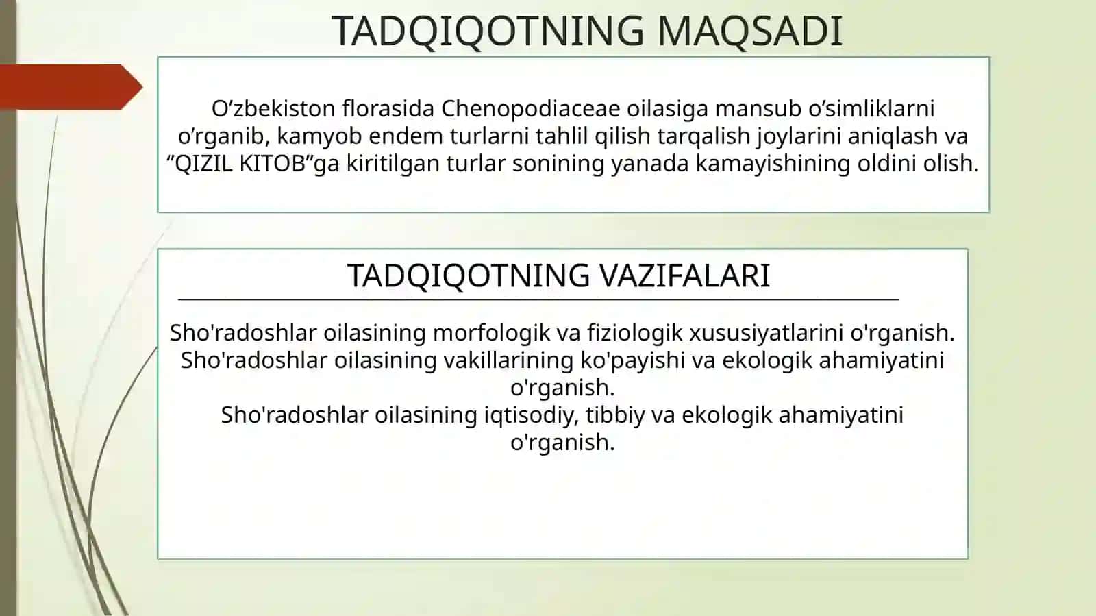 Sho’radoshlar(Chenopodiaceae)oilasivakillari,tarqalishi,tuzilishi,ko’payishivaahamiyati 3