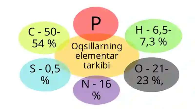 Oqsillar. Aminokislotalar 3