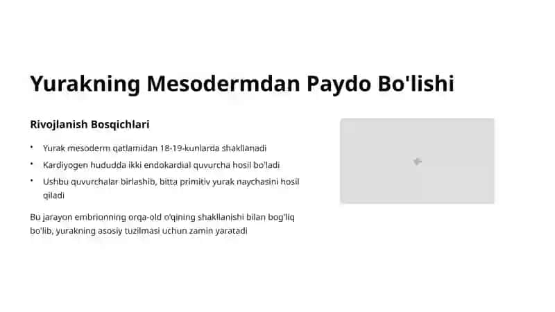 Yurak Rivojlanishining Embriologiyasi 3
