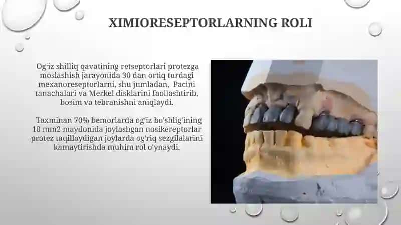 Og‘iz shilliq qavatining retseptorlari 3