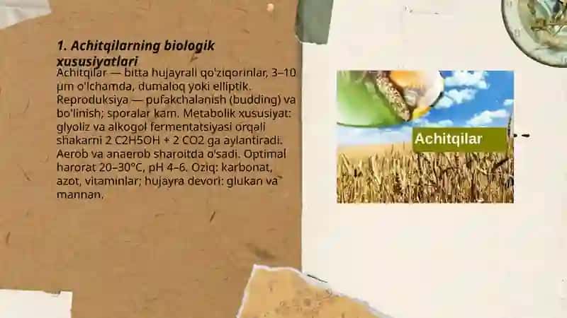 Achitqilar 3