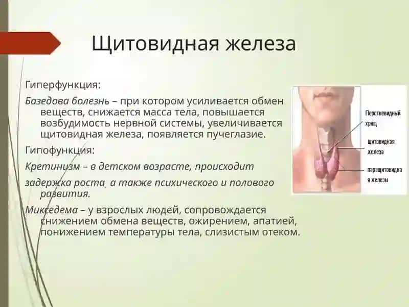 Эндокринной болезни 3