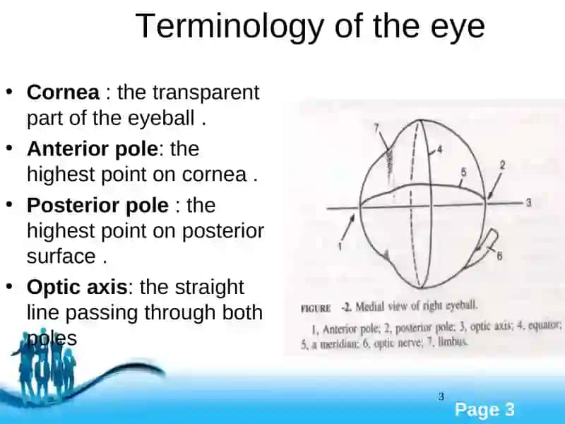 The Eye 3