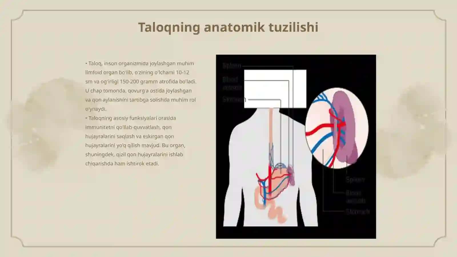 Taloqning tug‘ma anomaliyalari va o‘smalari 3