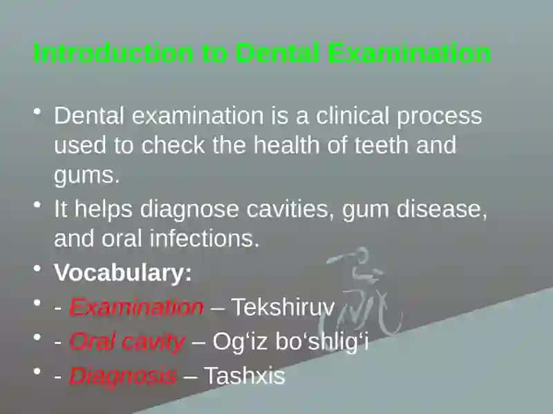 Dental Examination 3