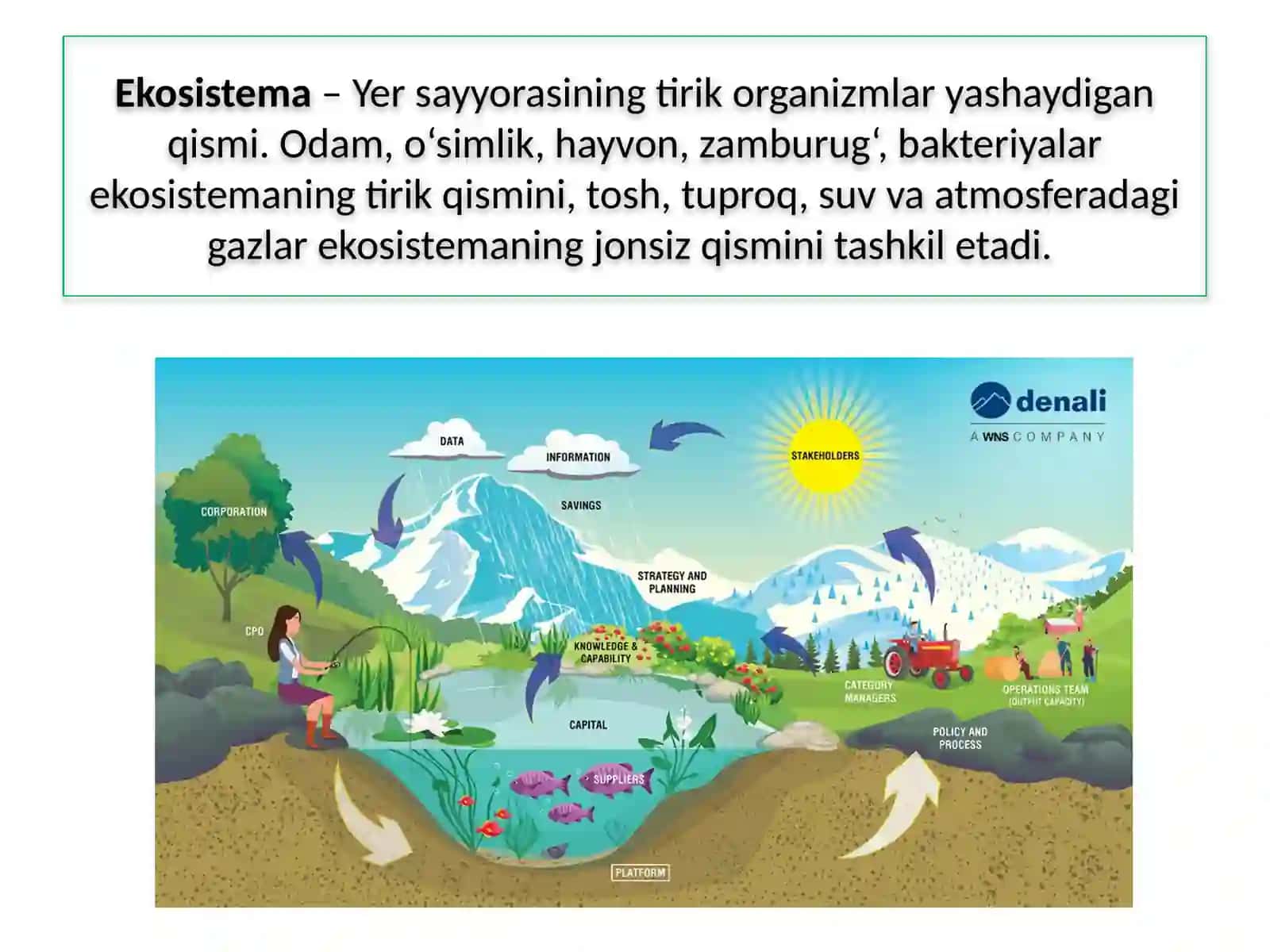 Ekosistema modelini yasash 3