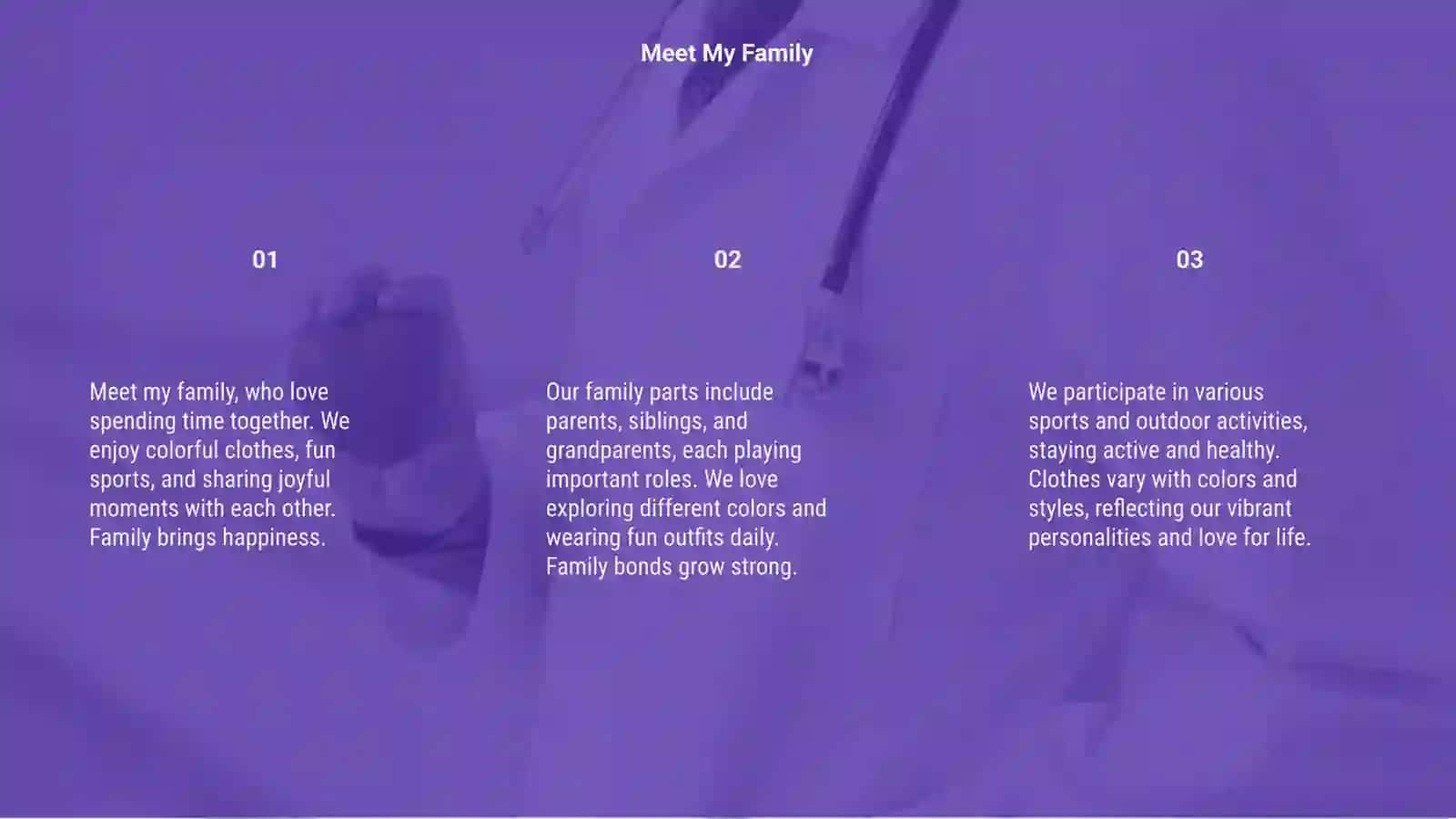 Meet My Family 3