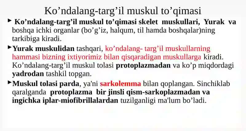 Miologiya 3