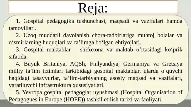 Gospital pedagogika – inklyuziyani ajralmas qismi sifatida. Xorijiy mamlakatlarda gospital pedagogika an’analari va xususiyatlari 3