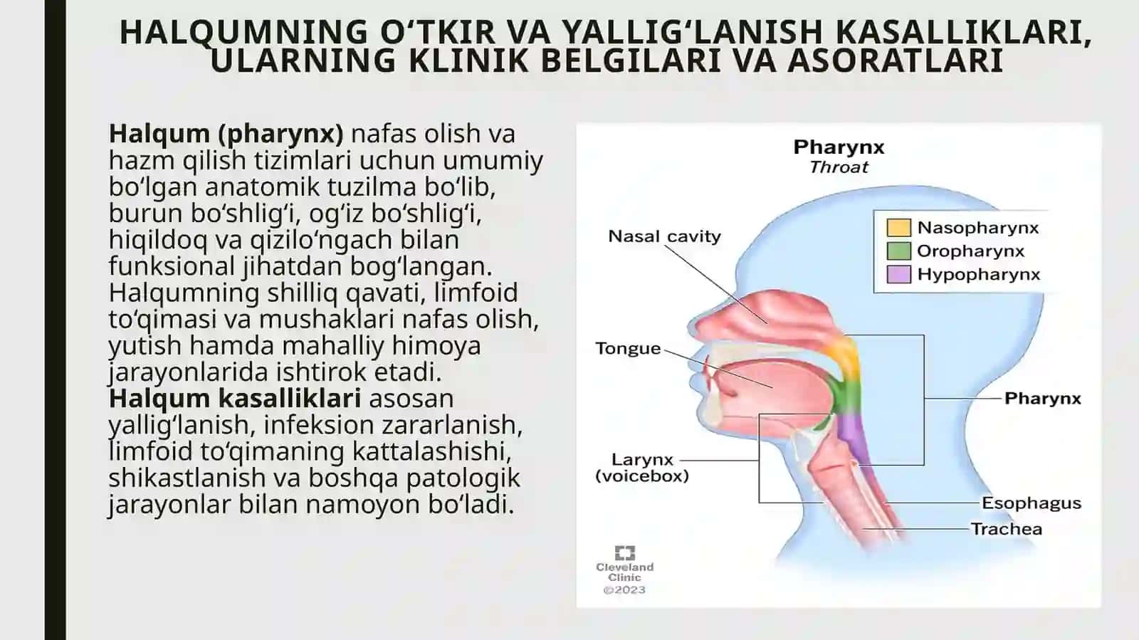 Halqumning patologiyalari 3