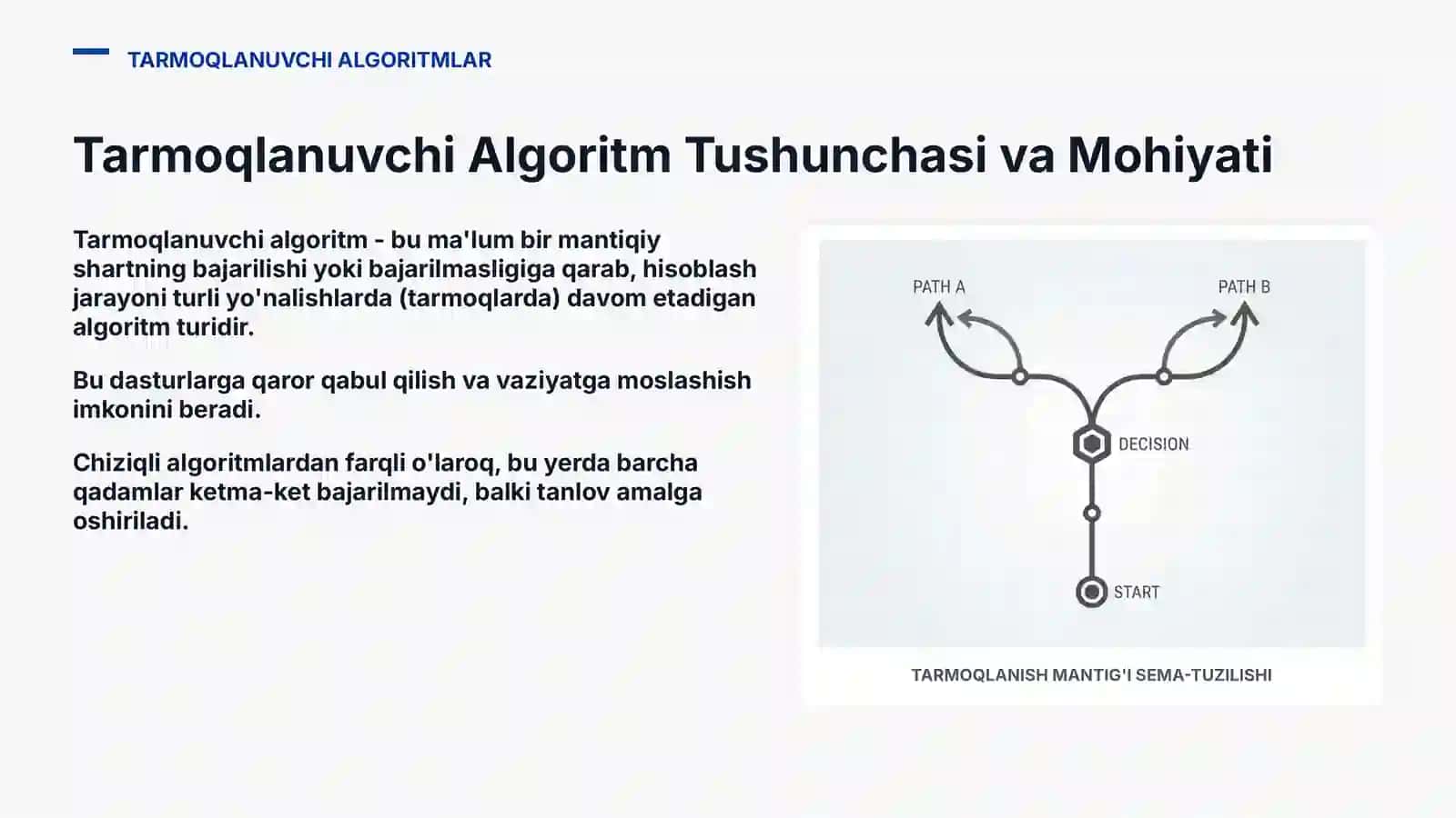 Tarmoqlanuvchi Algoritmlar: Nazariya va Amaliyot 3