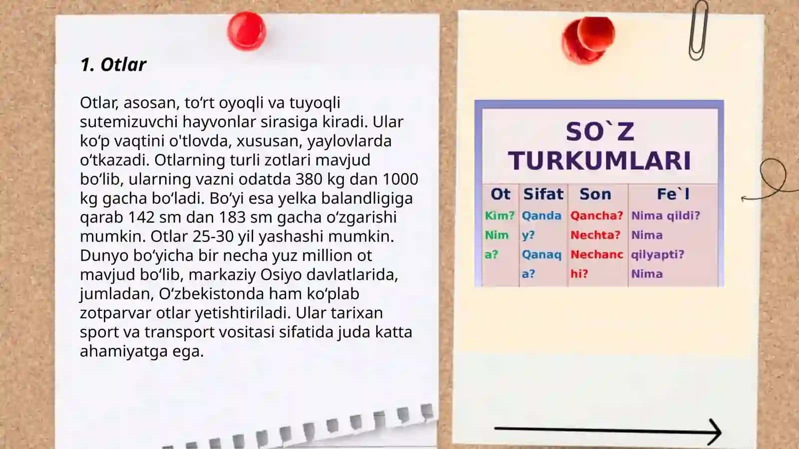 Mustaqil soʻz turkumlari Normamatova Dildora 3