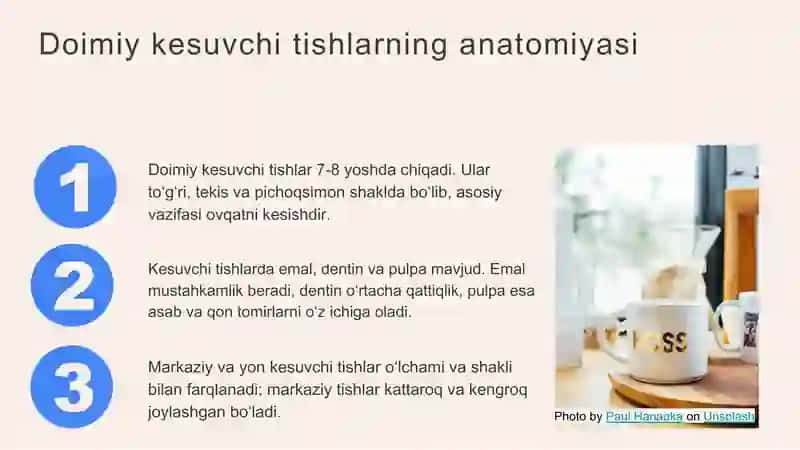 tishlarning xususiy anatomiyasi 3