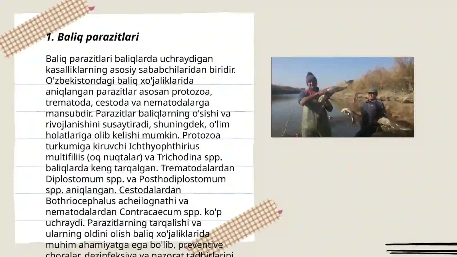 Baliq dushmanlari va mexanik shkastlanishlar 3