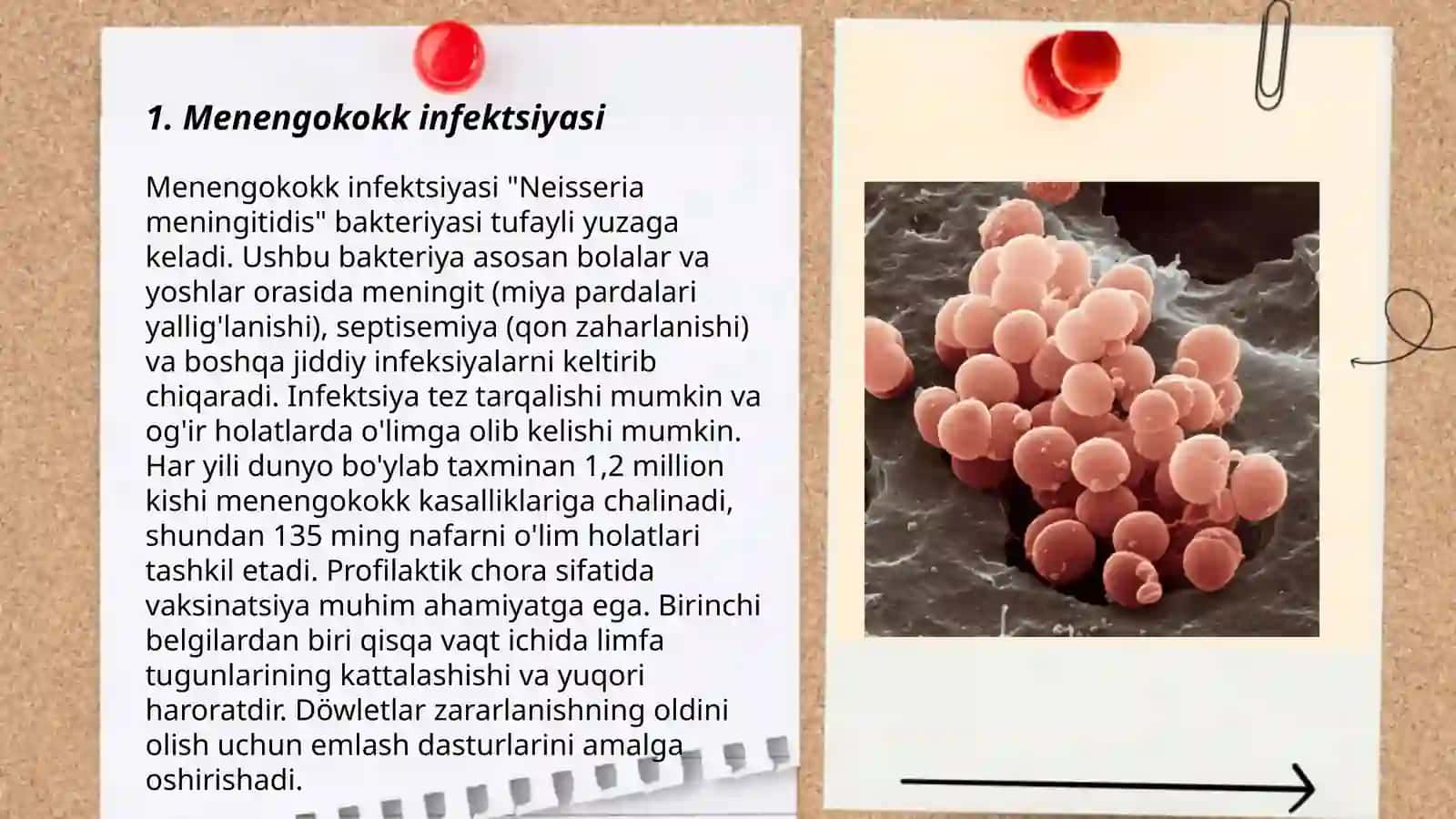 Meningokokk 3