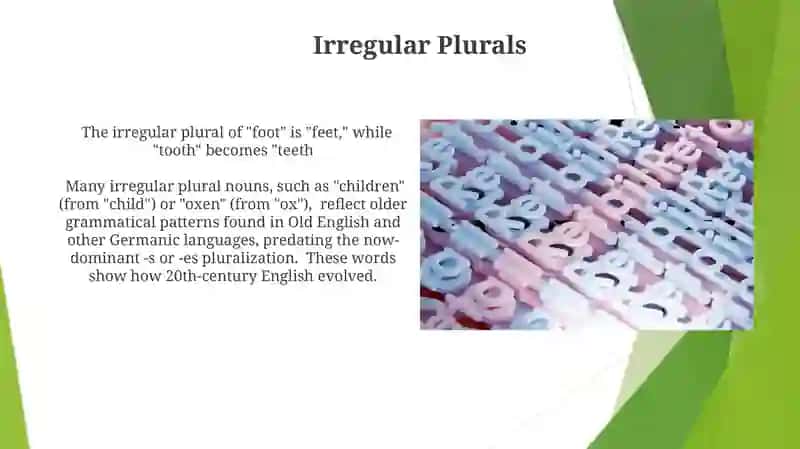 Irregular Plural Noun Formation 3