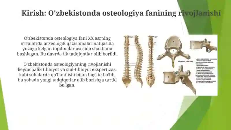 O’zbekiston oliymoraligini osteologiyasi sohasiga qo’shgani hissasi 3