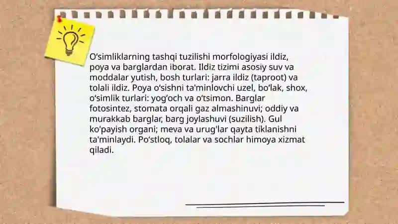 Oʻsimliklar dunyosi va ularning hayot tarzi haqidagi bilimlarni bilib olish va tahlil qilish 3