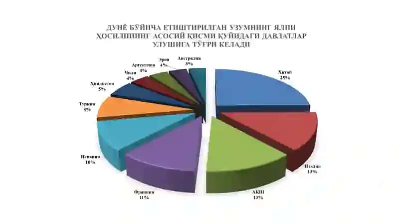 UZUM G‘UJUMI YIRIK KISHMISHBOP NAVLARNI QURITISH TEXNOLOGIYASI VA USULLARI 3