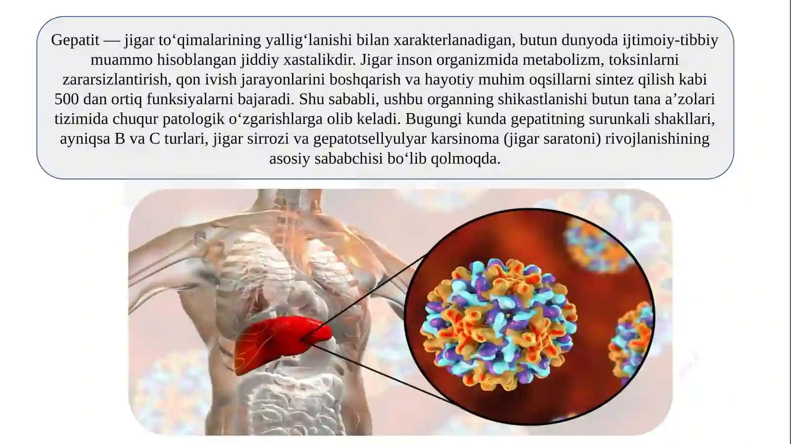 Gepatit kasalligi SLAYD 3