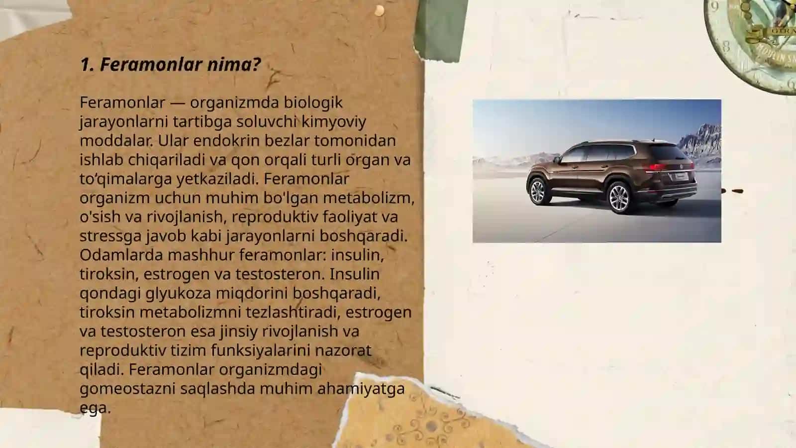 Feramonlar 3