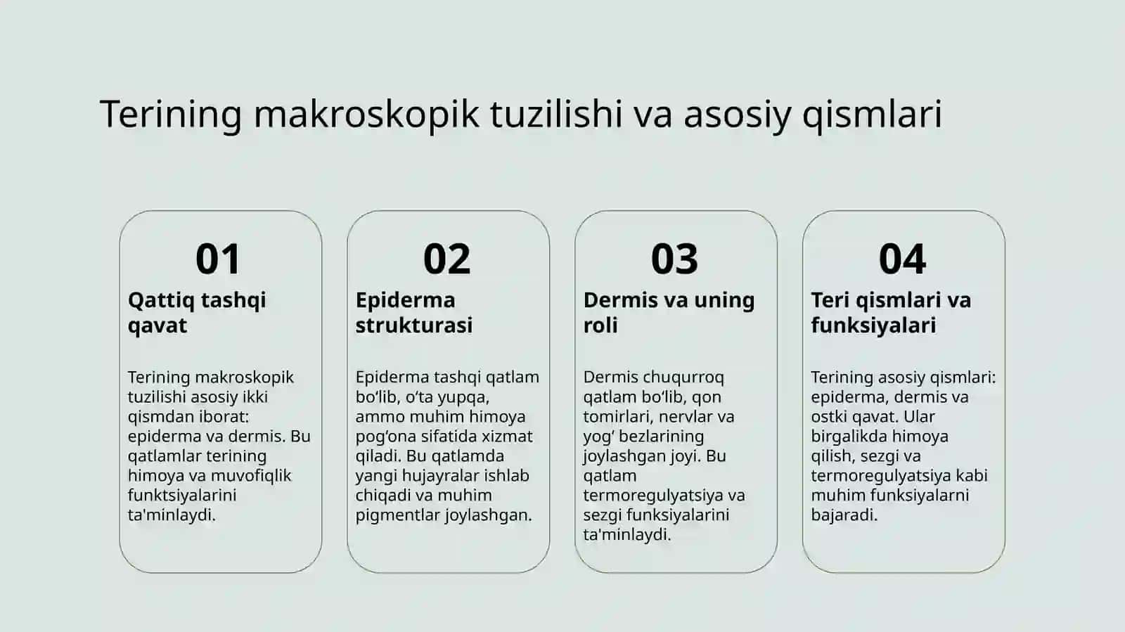 TERI ANATOMIYASI, GISTOLOGIYASI. TERINING ASOSIY FUNKSIYALARI 3