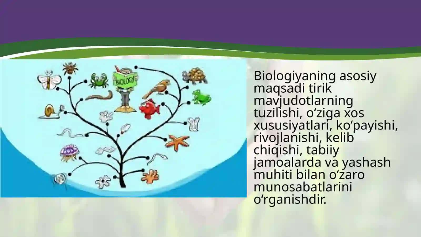10-sinf Biologiya fanidan Biologiya hayot haqidagi fan mavzusida dars taqdimot 3