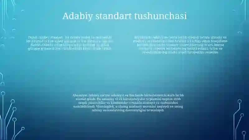 Adabiy Til Me'Yorlari 3