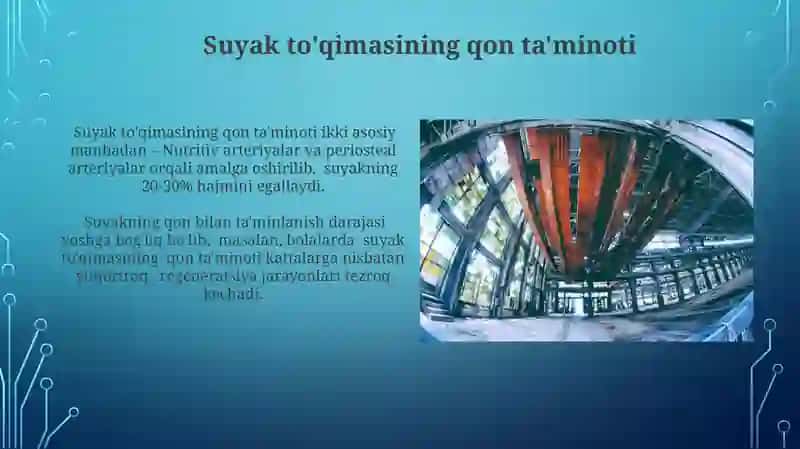 Suyak to'qimasining gista tuzilishi 3