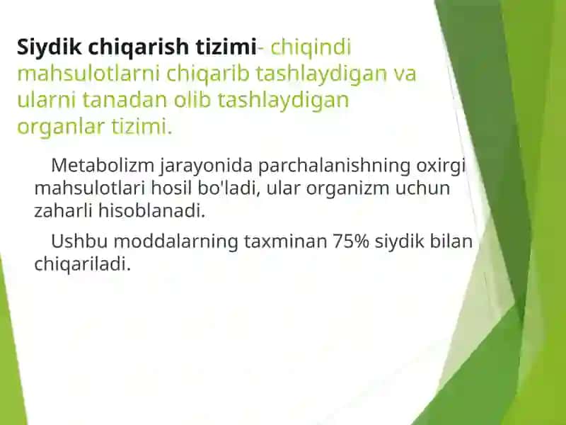 Buyraklarda siydik hosil bo'lishi va yosh xususiyatlari 3