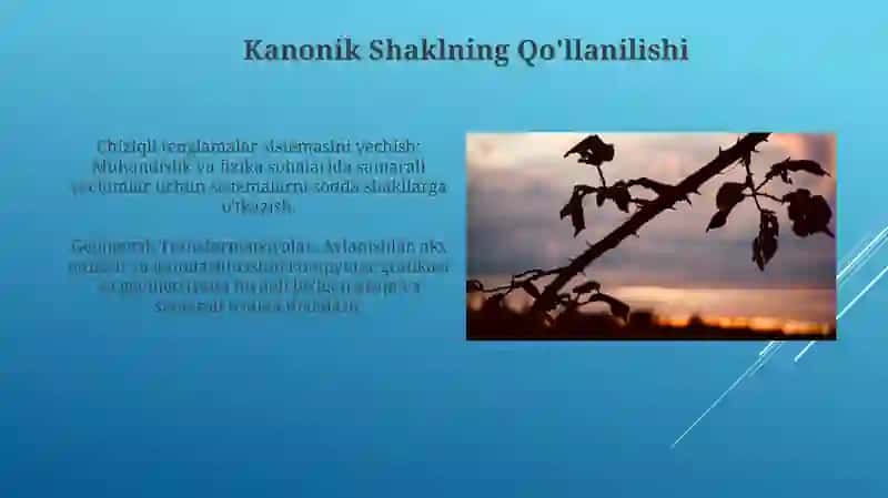 Chiziqli Algebra va undan tashqari qo'llanmalar 3