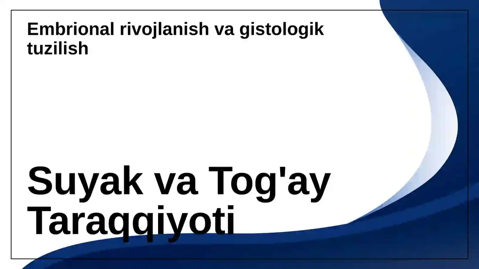 Suyak va Tog'ay Taraqqiyoti 3