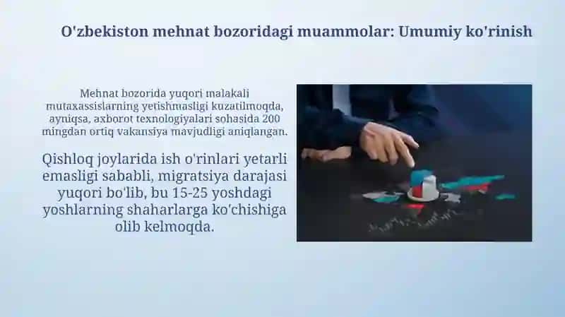 O'zbekiston mehnat bozoridagi muammolar: Umumiy ko'rinish 3