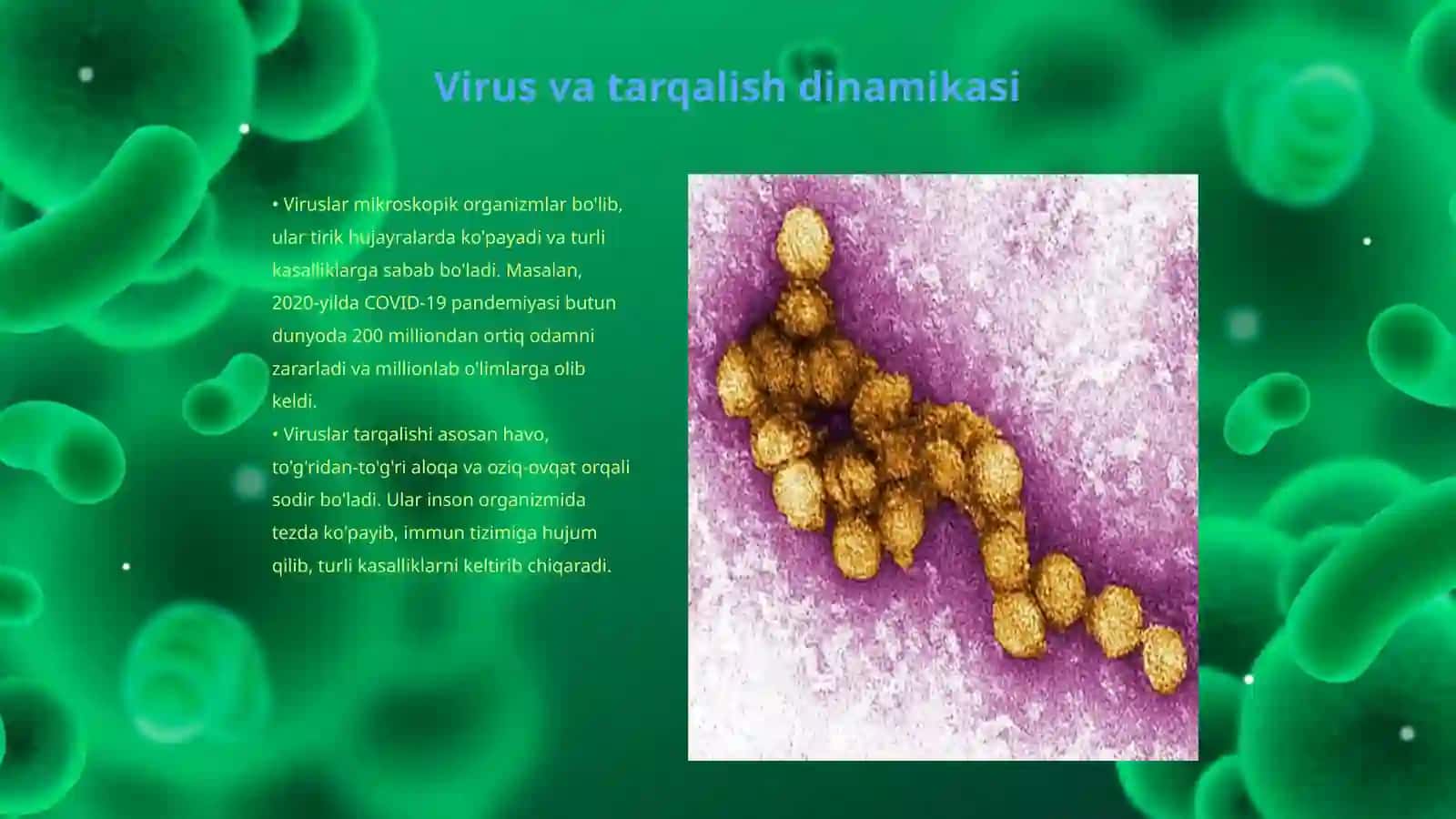 Virusga qarshi vaktsinalar va ularni ishlab chiqish 3