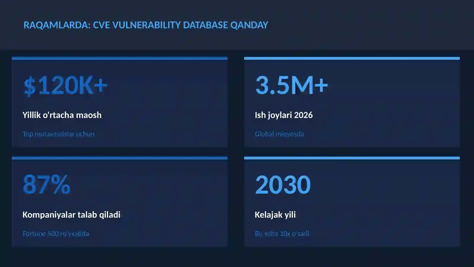 CVE vulnerability database qanday haqida 3
