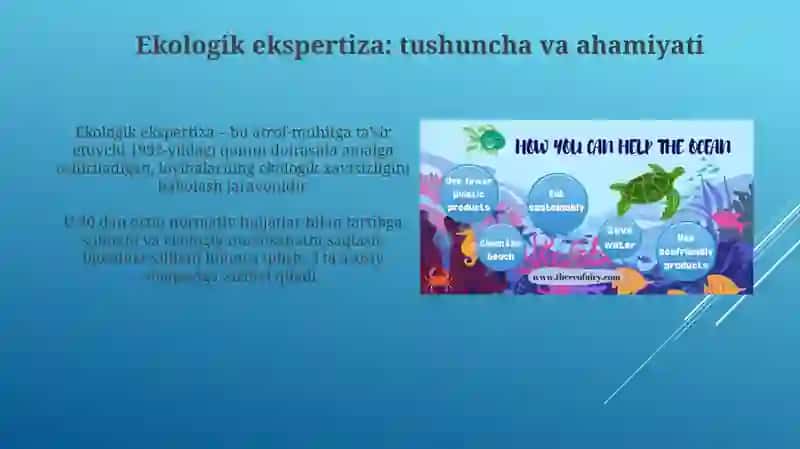 Ekologik ekspertiza tushunchasi, turlari va o'tkazish tartibi 3