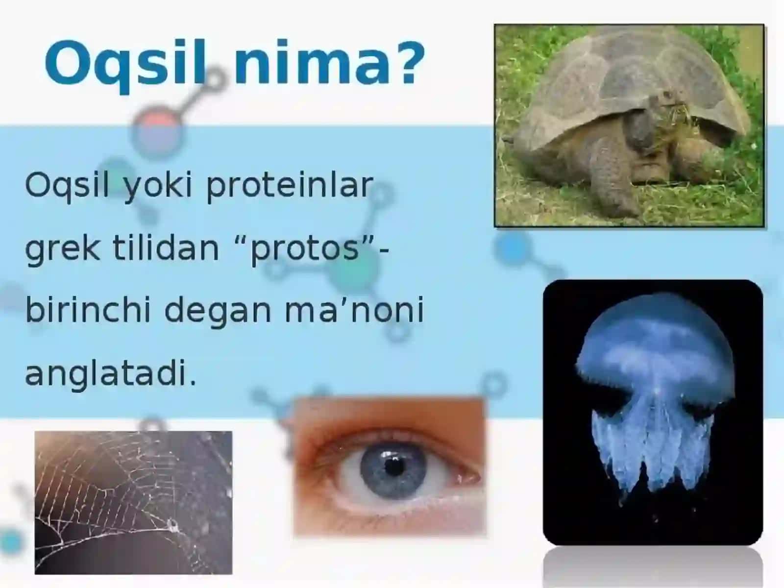 Oqsil biosintezi 3