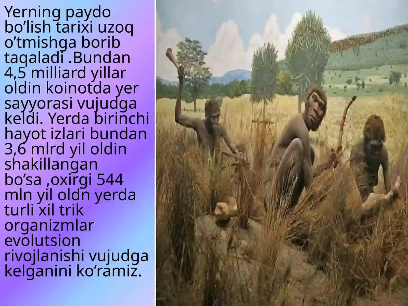 Insoning ilk vatanini aniqlashdagiingliz olimi Luis Liki tadqiqotlari 3