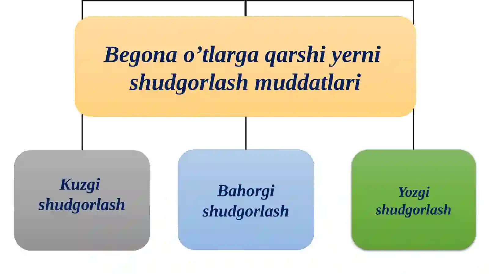 ОRGАNIK DЕHQОNCHILIKDA QISHLОQ ХO'JАLIGI EKINLАRINI ЕTISHTIRISHNING АGRОTЕХNIKАSI 3