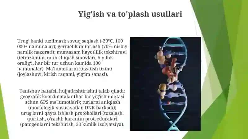 Senopopulyatsiyaning urugʻ banki tuzilishi bilan tanishish 3