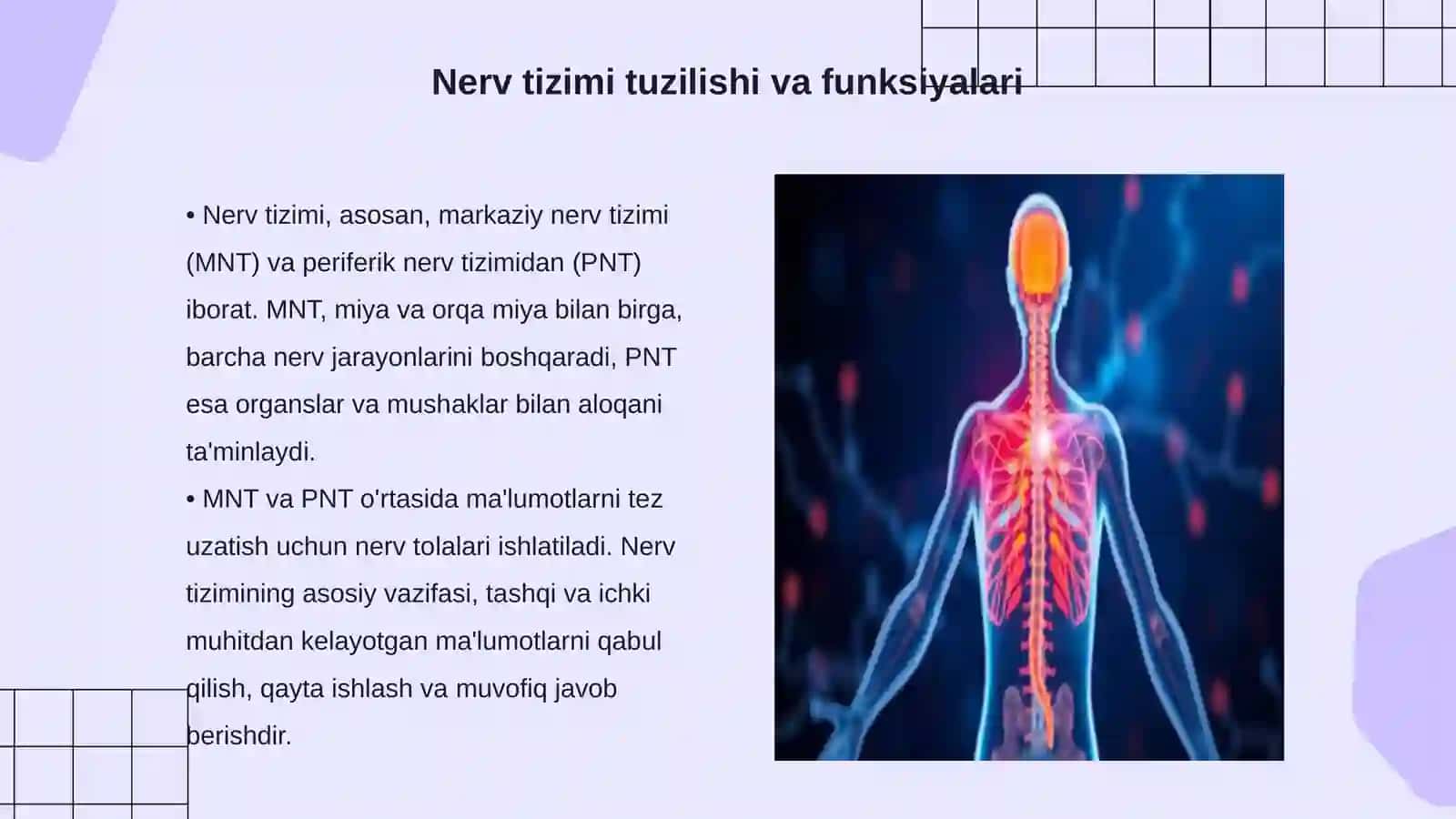 Nerv tizimi biokimyosi 3