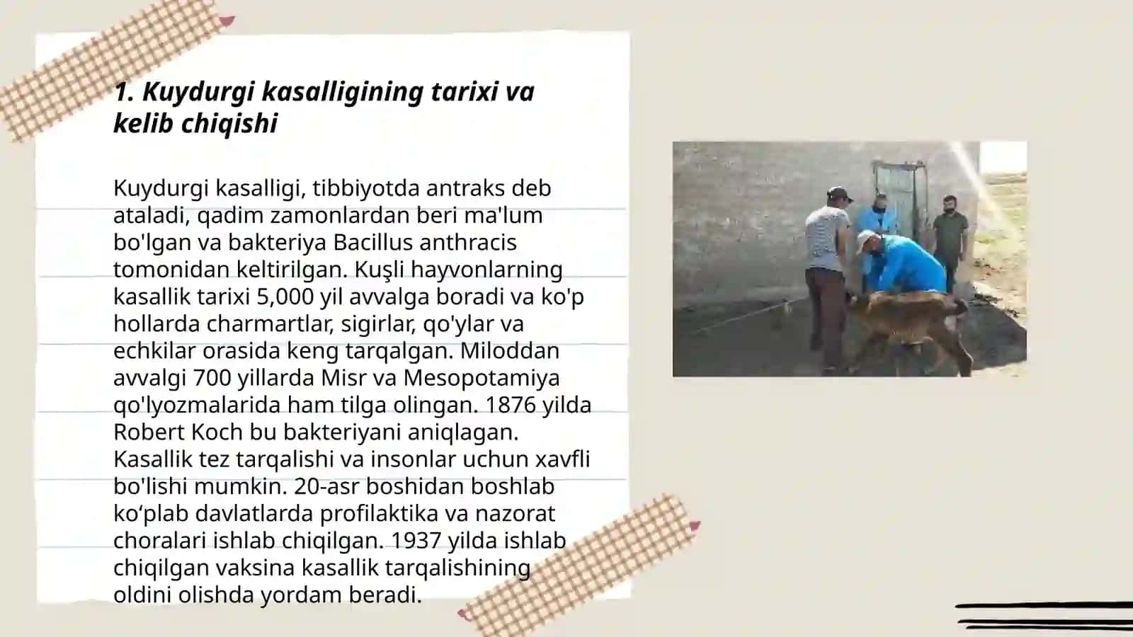 Kuydurgi kasalligi 3