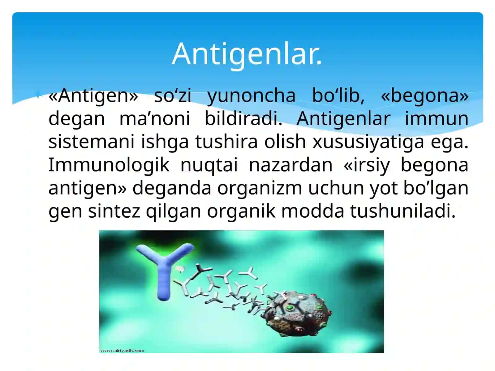 Antigen va antitela 3