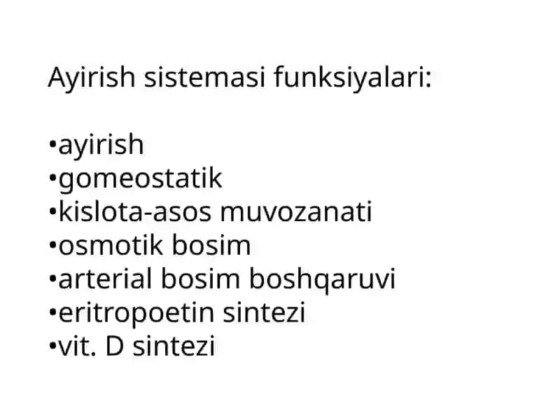 Buyrak va siydik yo'llarini nurli tekshirish usullari 3