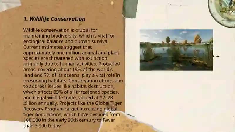 Wildlife Conservation 3