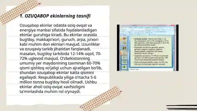 OZUQABOP EKINLAR ALKALOIDLAR VA GLIKOZIDLAR 3