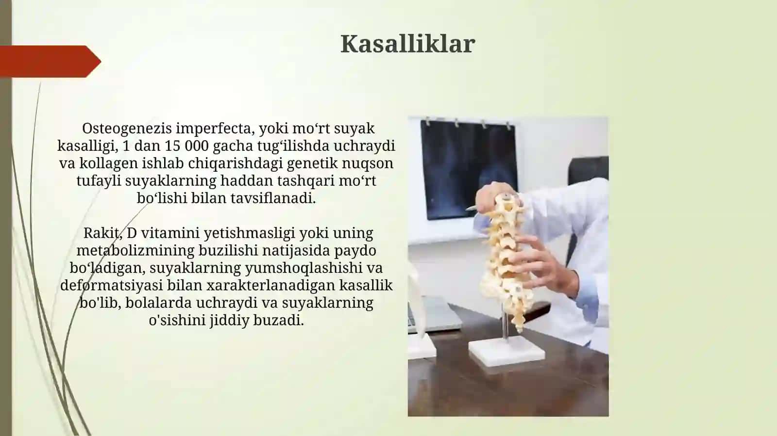Suyaklarning o'sishi rivojlanishiga ta'sir etuvchi omillar 3